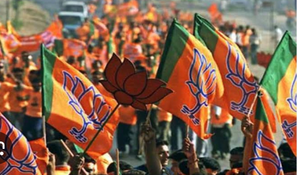 तारीख पे तारीख, भाजपा न राष्ट्रीय अध्यक्ष तय कर पा रही न छत्तीसगढ़ में मंत्री, 1 साल आठ माह से अटकलों के झूले पर झूल रहा विस्तार और संख्या का मोटरा